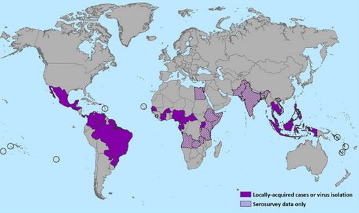 Zika diffusione