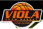 Team Basket Viola