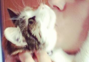 bacio gatto