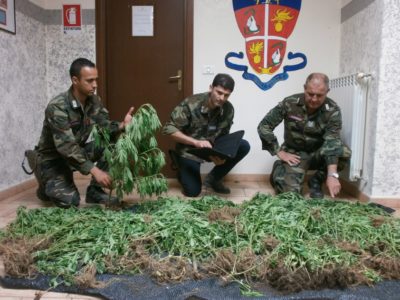 sequestro marijuana Carabinieri